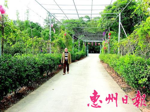 �㶫������ɳ�ﻨ������ζ԰��ͥũ�������켯�������ֺ�������һ����ɫũ��
