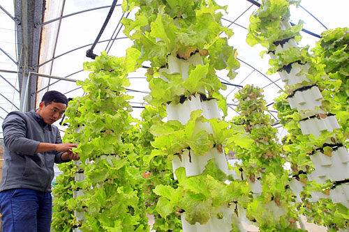 �����ϲ����߲����ϳ� ��������Ũ