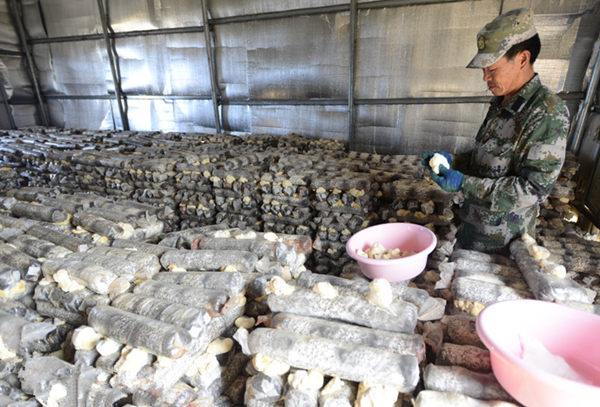 �㽭��������վ���ͷ������