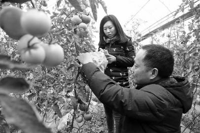 ����ɳ�أ�Դͷ���ϡ������ӡ���ȫ