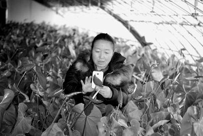 ���������غ������Ŵ�����