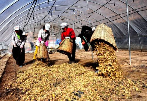 �Ĵ���կ����500��Ķ�������˲Ρ��꿧ϲ�����