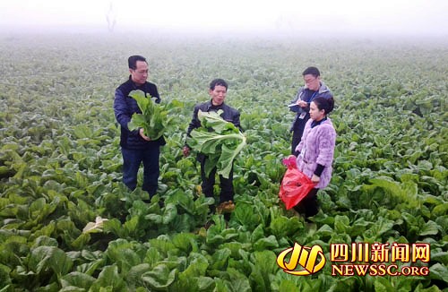 �Ĵ�����ظ�������ɫʳƷ���ϲ�����