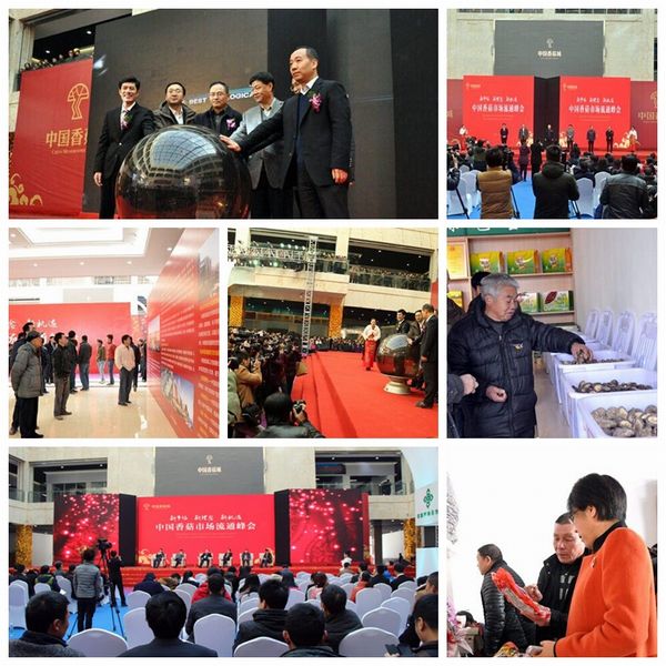 ����������ҵ��չ�¼�Ԫ �㽭��Ԫ���㹽�г���ʽͶ������Ӫ