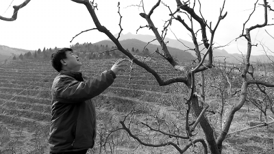 ������������չ ��̬������