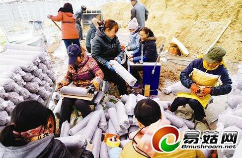 ɽ��ԫ����ʳ�þ���ֵ��7000��Ԫ