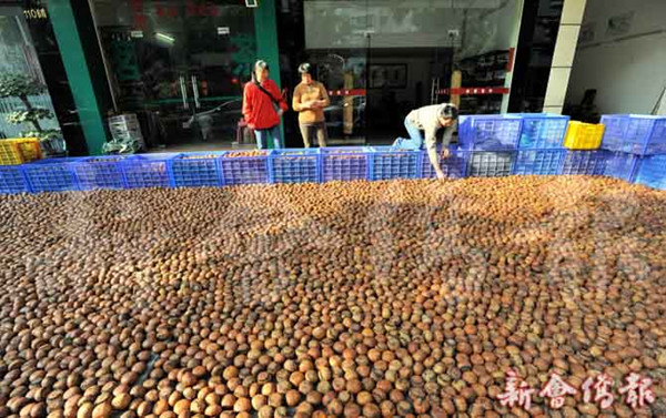 �㶫�������»������ղ跽��δ��