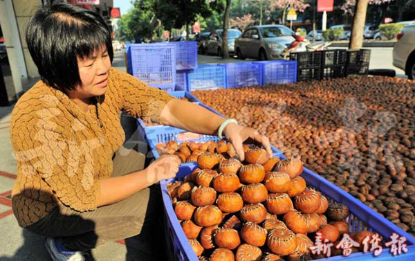 �㶫�������»������ղ跽��δ��2