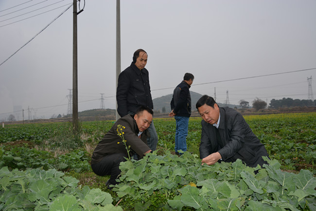 ��������ũҵ���쵼ð�Ϻ�����Ͳ�����