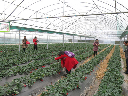 ����������ˮ����׼԰������Ч����2