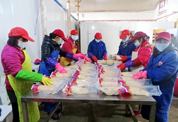 ��������ӹ���Ѽ���ں���