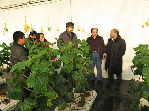 �����п�չ�߲˲��溦��ɫ����ʾ�����ض���������鹤��