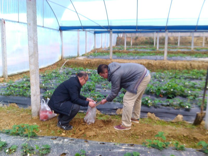 �������֣����ſ�չ���ʼ�������