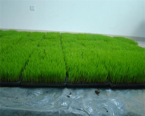 ���ϴ�ͨ������������ϲ��ɹ���ũ����˶�����