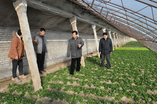 ������������չѬ������ũҩר����