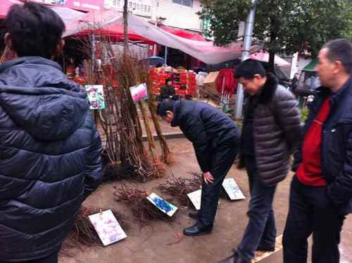 �����ƽ����ǿ�г���ľ����