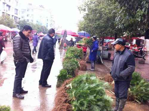 ũ��ר�ҶԸ��١����������ѵ���ľ�����г����