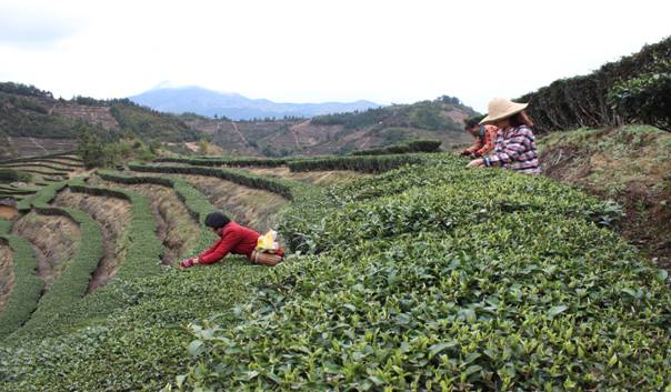 ������Ϫ������һ�괺��ʱ