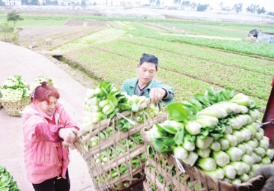 �����ڽ����յ��߲�װ�������������ۡ�