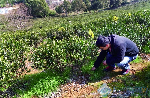 �㽭���ˣ����������ʡ�