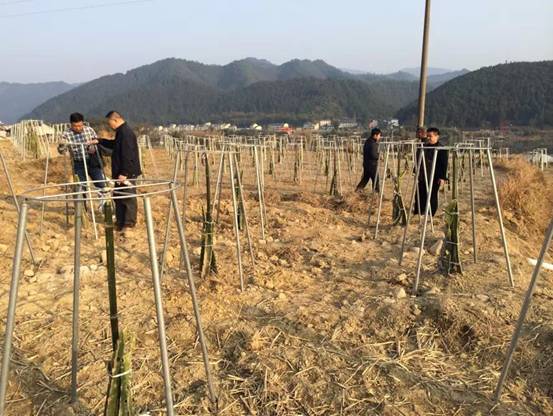 �������֣������¹�Ʒ���ƶ��Ͳ�԰����