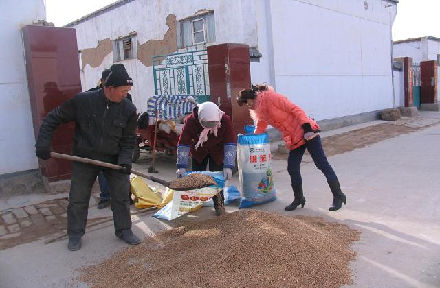 ������ͭϿ�������������ٴ���