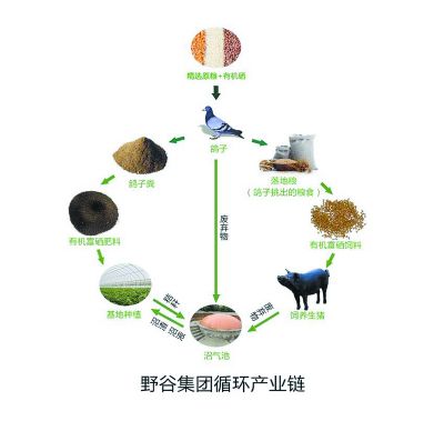 ����˳�壺ѭ��ũҵ԰ ���ݡ����μǡ�