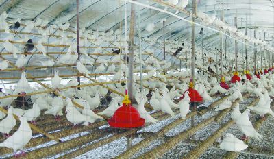 ������ɾ����࣬û����ζ����