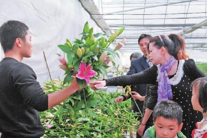 ����ɳ�أ��������в�ժ��