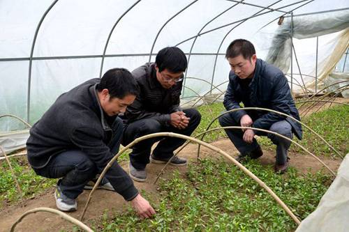 �����׺ӣ���ũҵ�ֶ�벢��ץ�ô�������