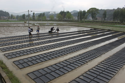 ��������С�գ�����������չ��