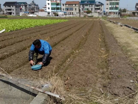 �㽭������ɽ����������ʱ ũ��æ��ͣ