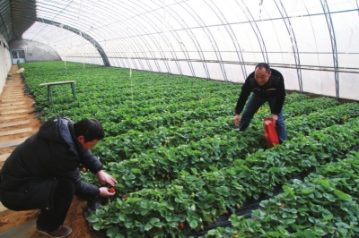 ���������ذ˴�������ʩũҵ���������