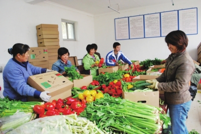 ���������ذ˴�������ʩũҵ���������2