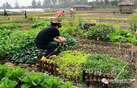 �㶫��ɽ����Դ��ũ���������� ���ݰ�������