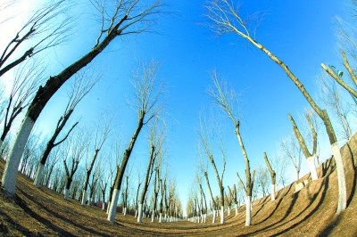 ������̬����Ҳ����ƴ��