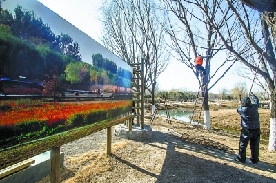 ͨ�����˺�ɭ�ֹ�԰�������Ա����Ϊ������֦��