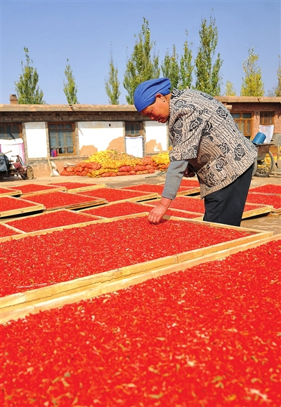 ������轣������������