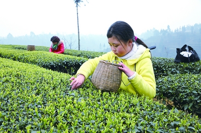 �Ĵ��������޹����̲�½�������ժ��