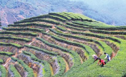 ������Ϫ��Ϫ����ɽ�续�����