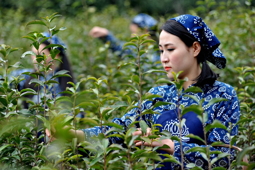 ������Դ����ũ��ժ�����л��̲�