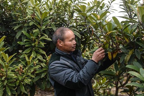 3��11�գ�������ǬԪ���������ֲ���ڹ��������������ǵ����˻����²�Ʒ����ͨ����������ƹ����ۡ�