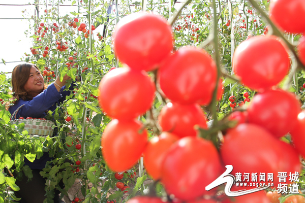 �ִ�ũҵΪɽ�������ػʳǴ�ũ���¸������á�Ǯ����