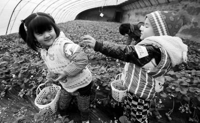 ��������ݮ�����硱Ѱ�����ա�֪��