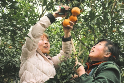 �Ĵ���ɽ���壺������ ����Ц