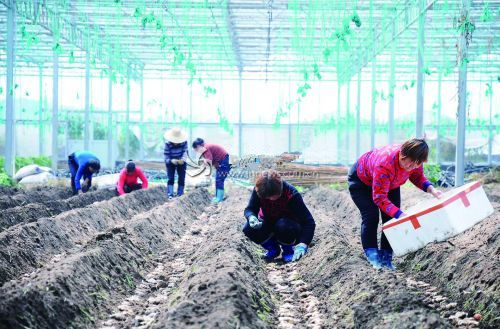 �㽭�𻪣�����������Ч���