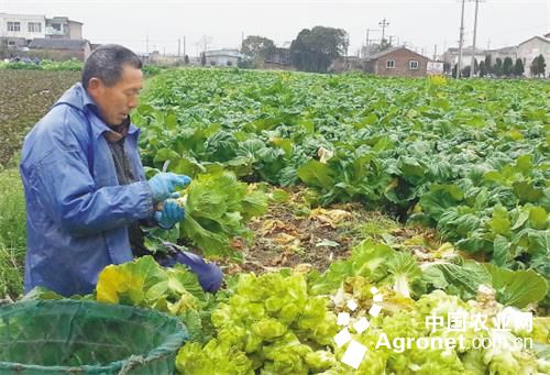 �㽭̨�ݣ����޲˷��� ��ũ����æ