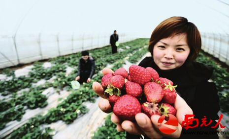 �Ĵ��ϳ䣺��ݮ��ҵ���˲�ժ����