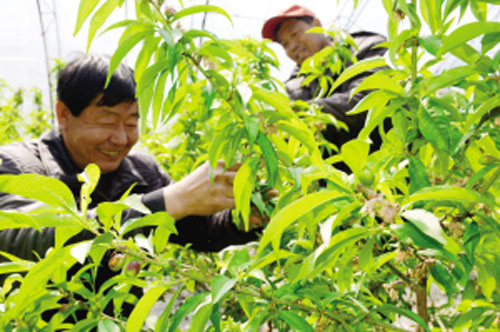 �����������С��ׯ���������ҷ��� Ԥ��Ķ��Ч��ɴ�4��