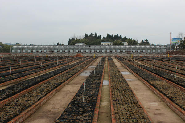 �Ĵ������ִ�ũҵ��չ������̨��